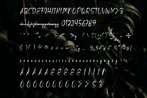 Butterfly Font - Preview 3