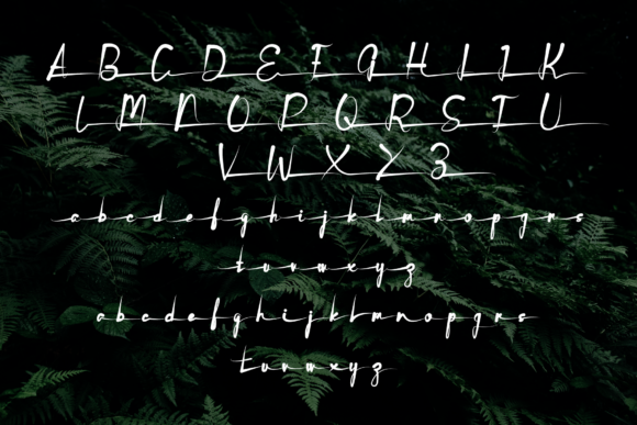 Butterfly Font - Preview 4