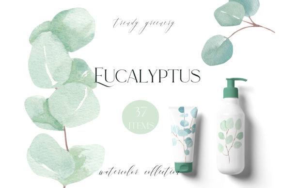 Eucalyptus Bundle, Watercolor Eucalyptus Graphic Illustrations By GingerNatyArt