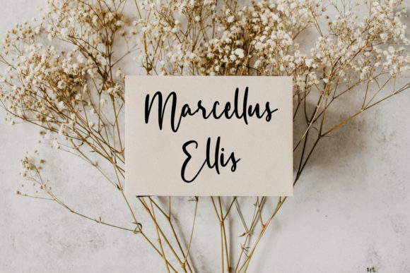 Monesstry Font PNG with transparent background - Preview 2