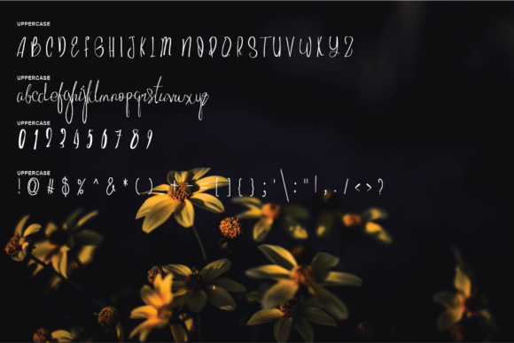 Beautye Flowers Font - Preview 1