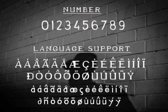 Bolero Font - Preview 5