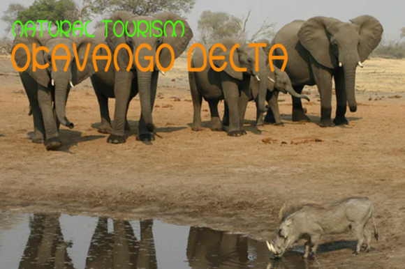Botswana Font PNG with transparent background - Preview 2