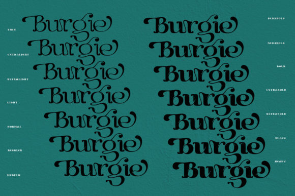 Burgie Font PNG with transparent background - Preview 2