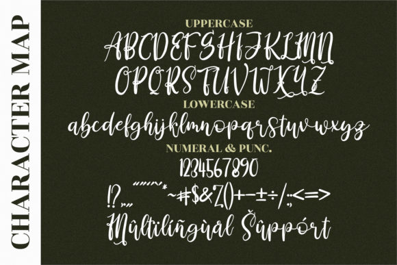 Derlinata Space Font - Preview 1