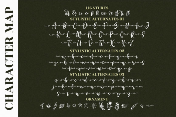 Derlinata Space Font - Preview 2