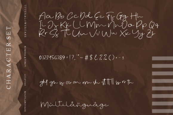 Fostone Natural Signature Font - Preview 6