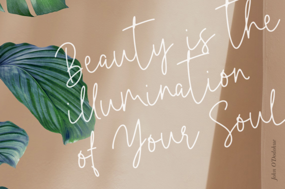 Amarllis Font - Preview 6