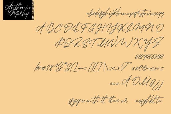 Anthonio Marlay Font - Preview 5