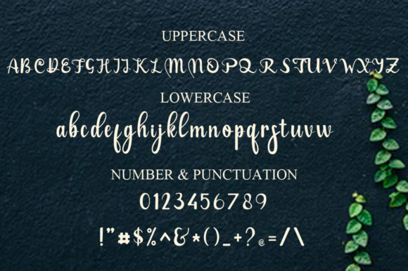 La Viola Font PNG with transparent background - Preview 5