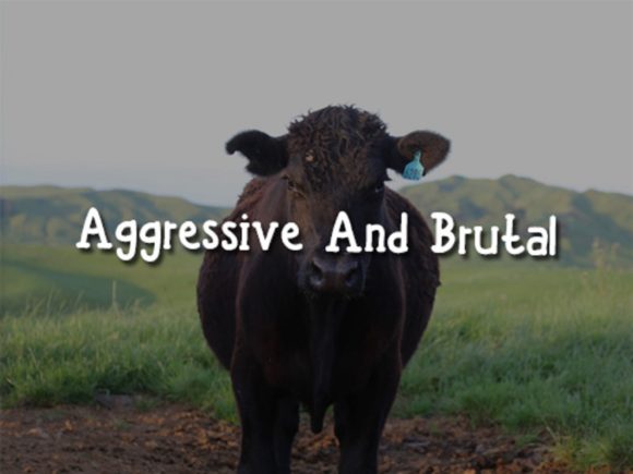 Angry Bull Font - Preview 2