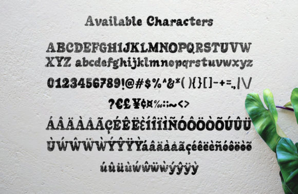 Begonia Font - Preview 2