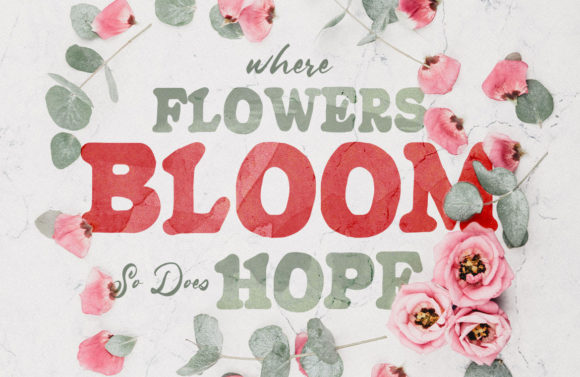 Begonia Font - Preview 3