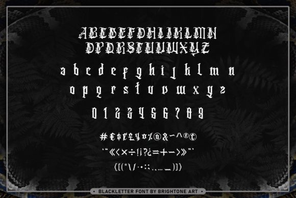 Cassandra Font - Preview 1