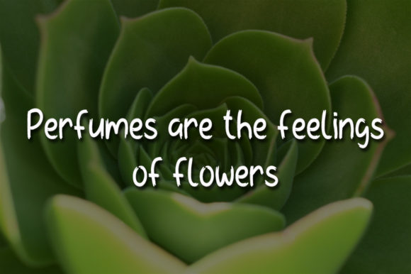 Green Flower Font PNG with transparent background - Preview 3