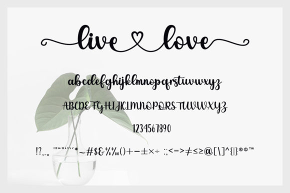 Livelove Font PNG with transparent background - Preview 3