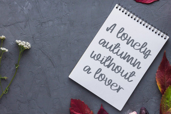Beauty Brilliant Font - Preview 1