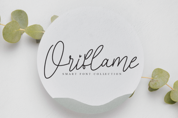 Morning Signature Font PNG with transparent background - Preview 3