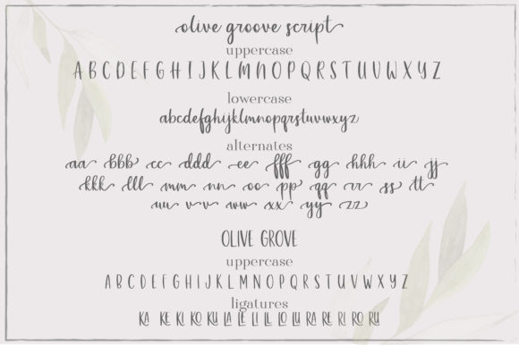 Olive Grove Font PNG with transparent background - Preview 2