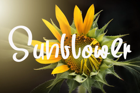 Pineapple in Bigger Font PNG with transparent background - Preview 2
