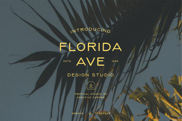 Serave Font PNG with transparent background - Preview 2