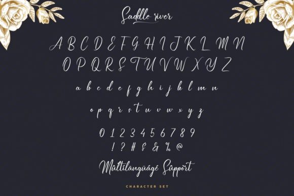 Saddle River Font PNG with transparent background - Preview 3