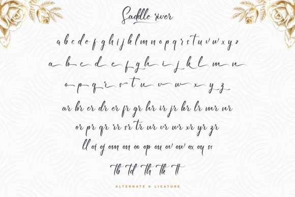 Saddle River Font PNG with transparent background - Preview 5