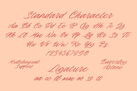 Baverley Astone Font - Preview 4