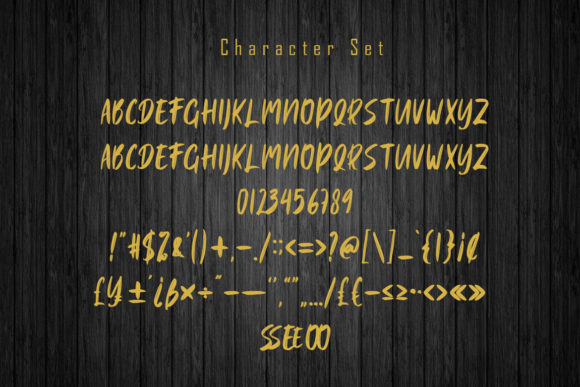 Dasser Font - Preview 5