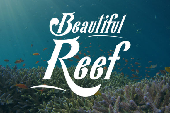 Kekfish Font PNG with transparent background - Preview 2