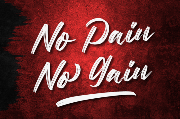 Netto Brushes Font PNG with transparent background - Preview 1