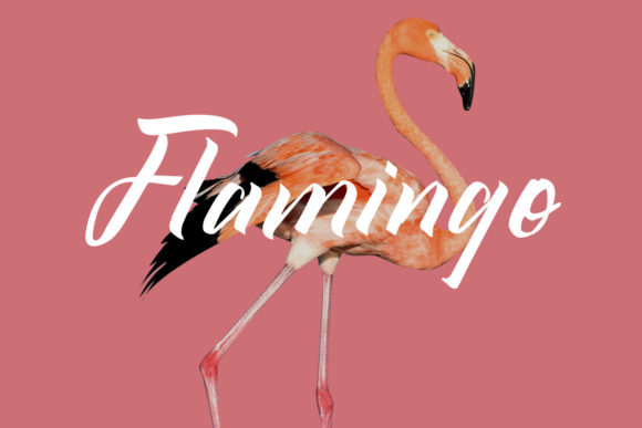 Qistty Font PNG with transparent background - Preview 1