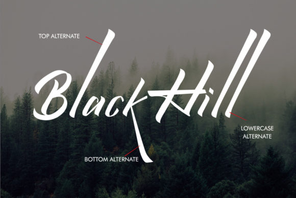 Qistty Font PNG with transparent background - Preview 2