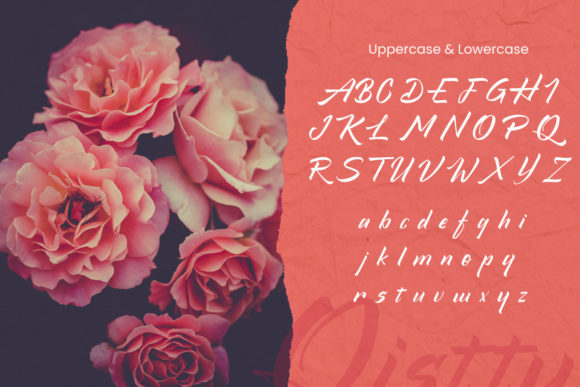 Qistty Font PNG with transparent background - Preview 5
