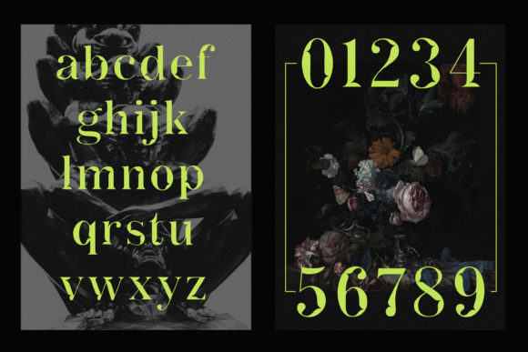 Actu Font - Preview 2