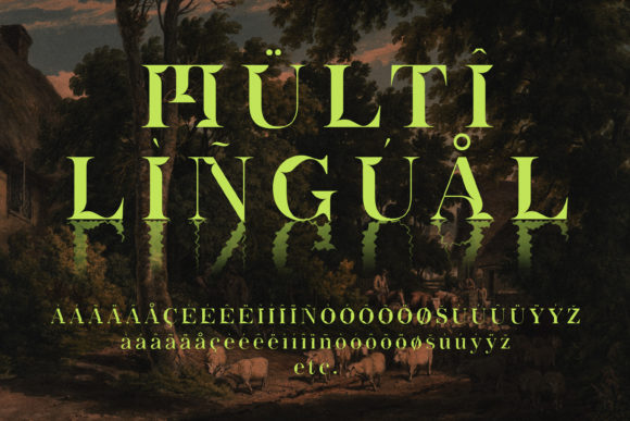 Actu Font - Preview 5