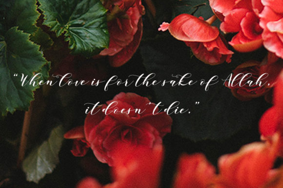 Baginda Font - Preview 3