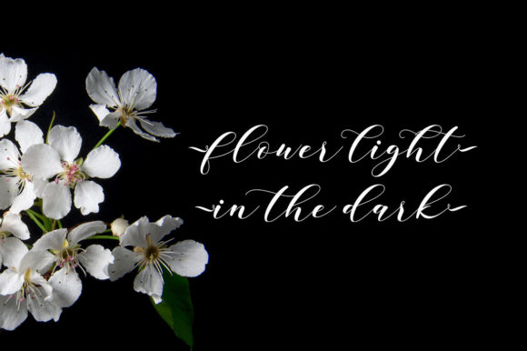 Baginda Font - Preview 5