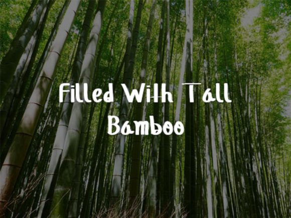 Bamboo Forest Font - Preview 1