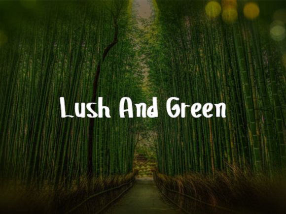 Bamboo Forest Font - Preview 3