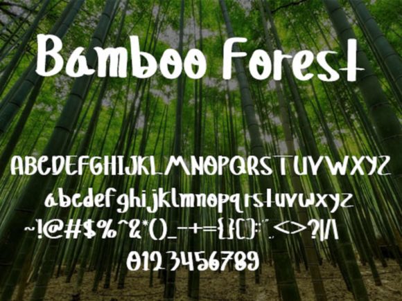 Bamboo Forest Font - Preview 4