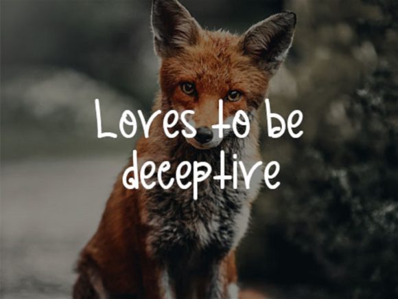 Cunning Fox Font PNG with transparent background - Preview 1