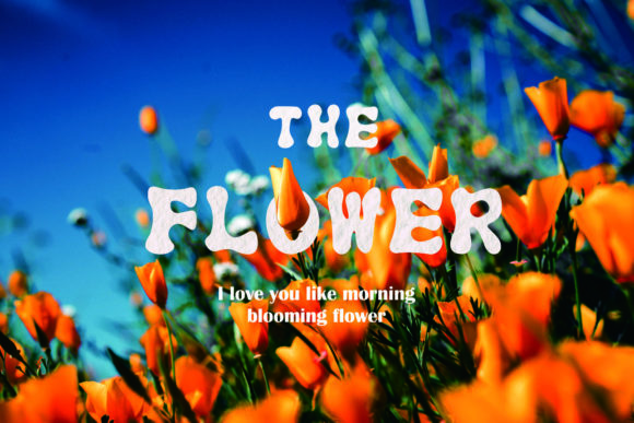 Azalea Font - Preview 1