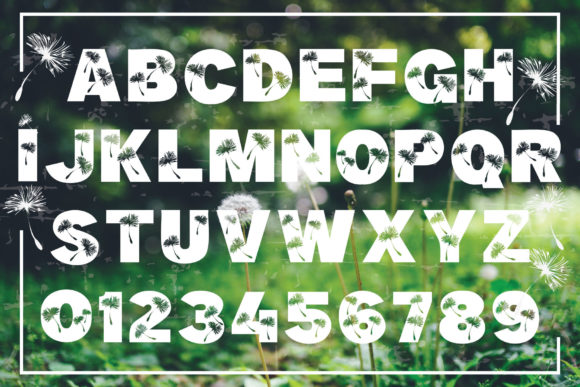 Dandelion Font - Preview 3