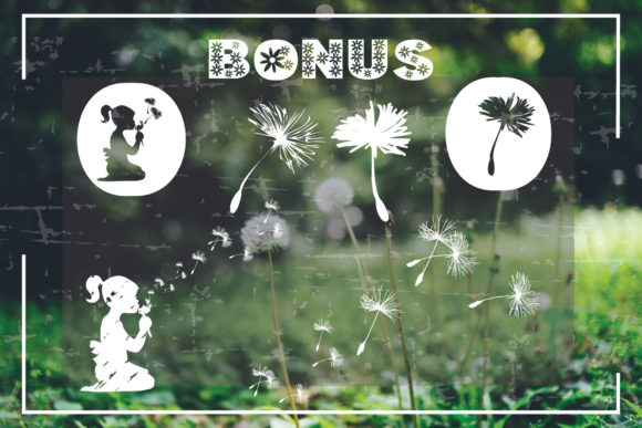 Dandelion Font - Preview 4
