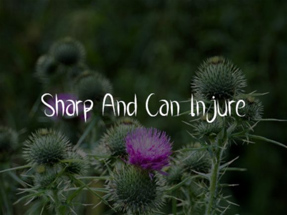 Flower Thorns Font - Preview 1