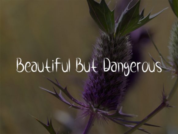 Flower Thorns Font - Preview 2
