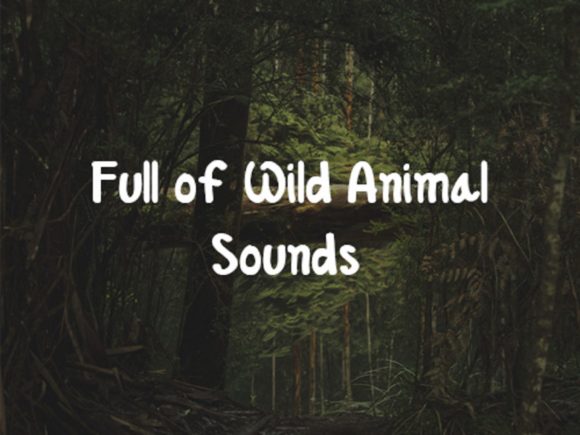 Lush Forest Font PNG with transparent background - Preview 2