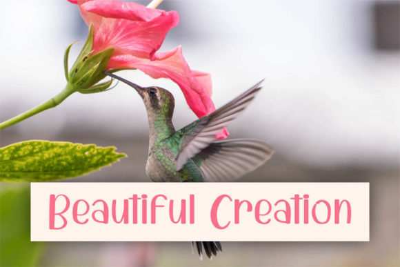 Creative House Font - Preview 4