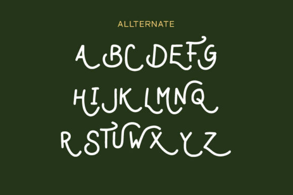 Farm Vintage Font PNG with transparent background - Preview 5